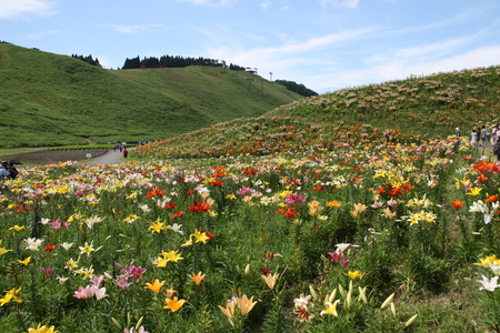 f0233356_22272352.jpg