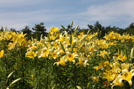 f0233356_22293452.jpg