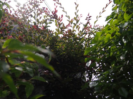 b0246758_1934162.jpg