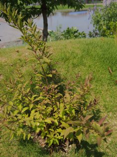 b0246758_19464439.jpg