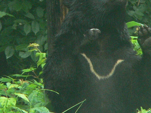 c0294658_21385632.jpg