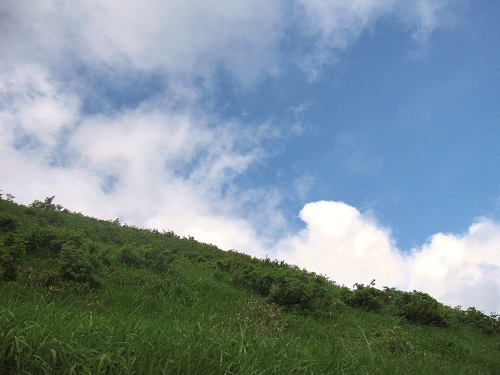 c0294658_21392789.jpg