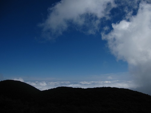 c0294658_21395782.jpg