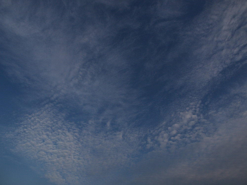 a0073065_20395398.jpg