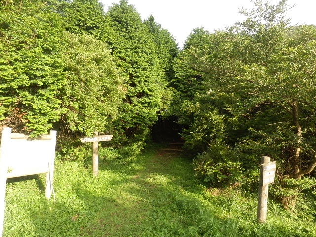 c0042869_552720.jpg