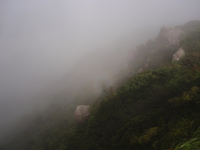 c0042869_556397.jpg