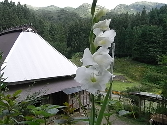 a0146070_625667.jpg