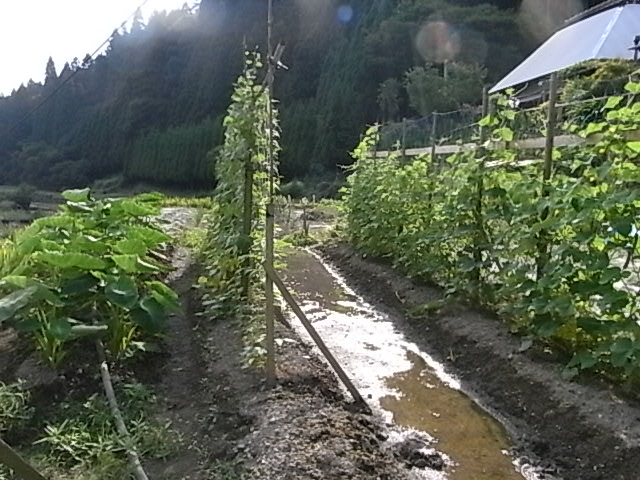 a0146070_6385888.jpg