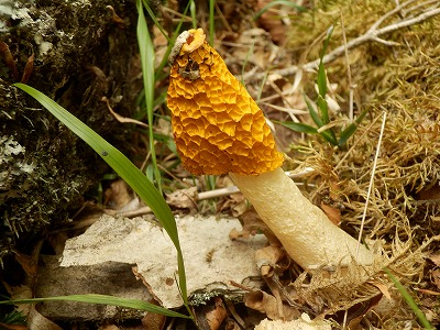 f0057070_2152576.jpg