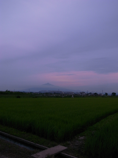 e0265372_2321971.jpg