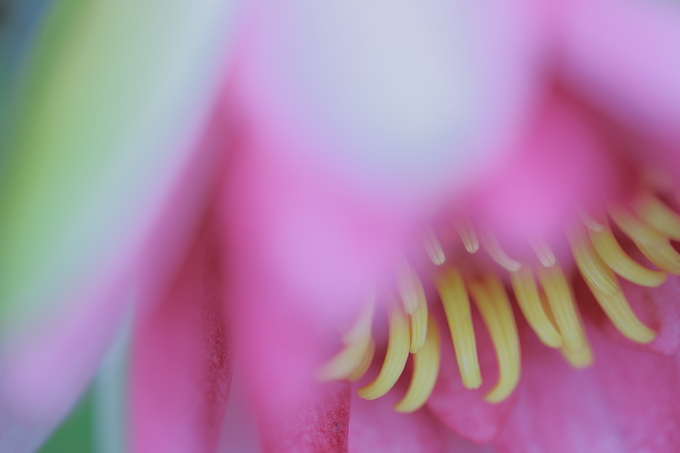 c0268775_553224.jpg