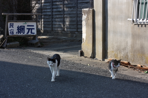 f0202680_223936.jpg
