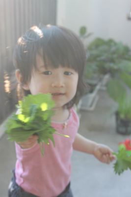 d0233283_4101988.jpg