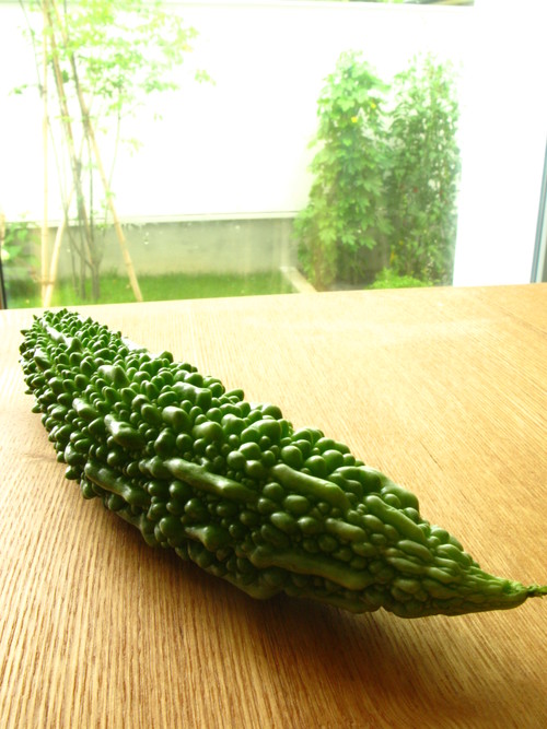 c0185993_11434994.jpg