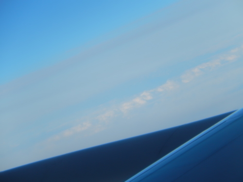 e0203793_7235595.jpg