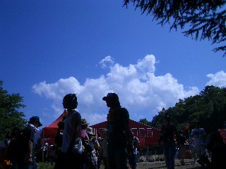 d0326894_1162429.jpg