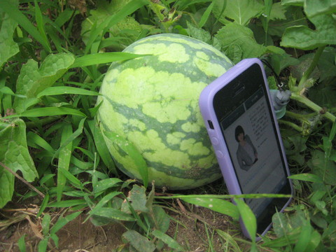 f0201297_10285140.jpg