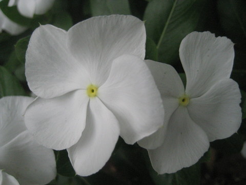 f0201297_10484164.jpg
