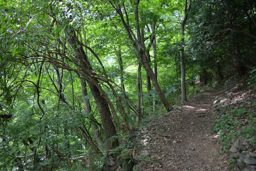 c0193901_211595.jpg
