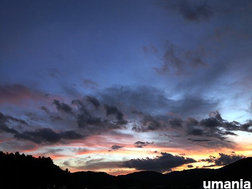 b0061004_20231966.jpg