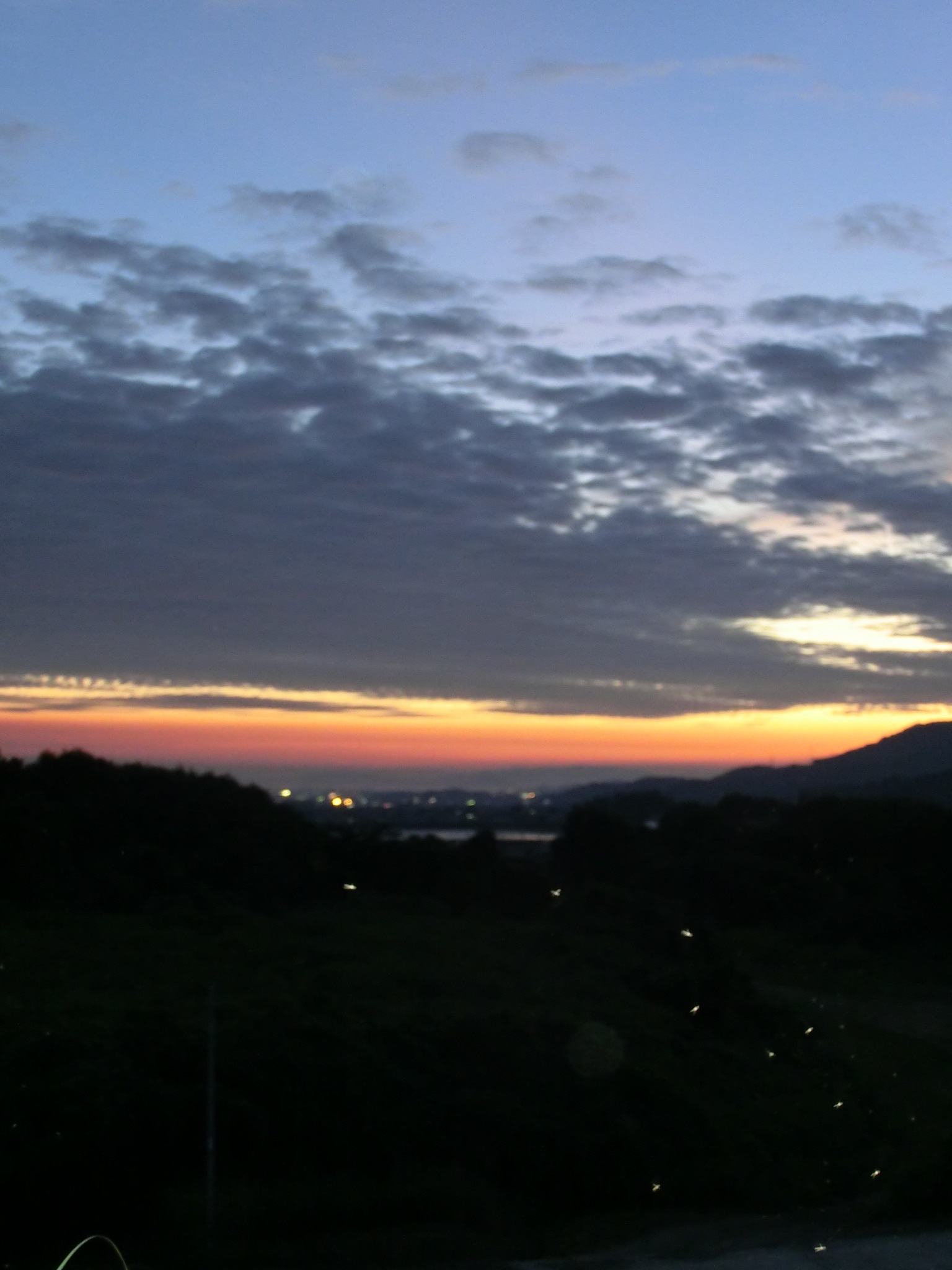 b0239909_2212529.jpg