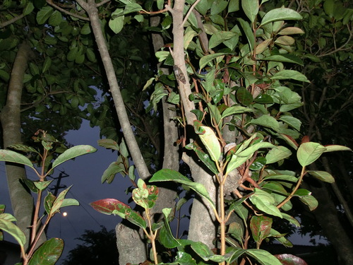 b0239909_22151460.jpg