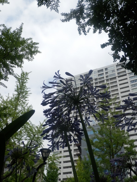 c0062511_23361552.jpg