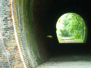 e0312121_21435017.jpg
