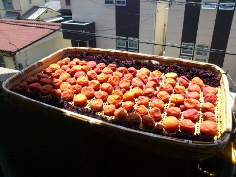e0069822_12574365.jpg