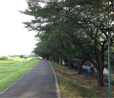 b0203925_13255558.jpg