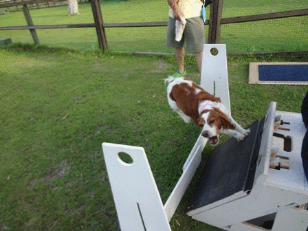 c0254426_949118.gif