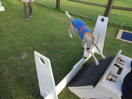 c0254426_9522641.gif