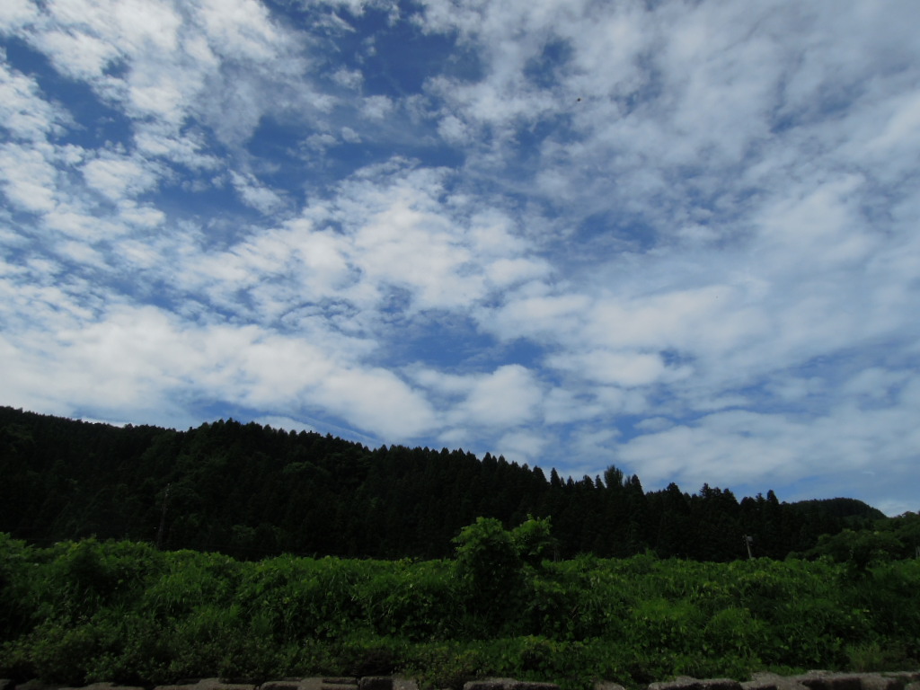 e0147226_22293790.jpg