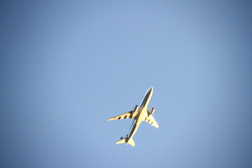 d0158028_22575271.jpg