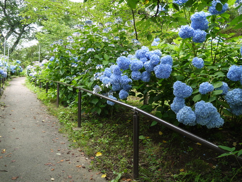 c0195439_21431229.jpg