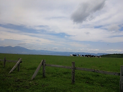 a0292043_1044476.jpg