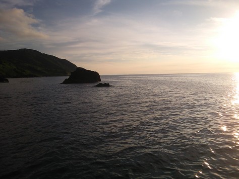 d0138246_20423851.jpg