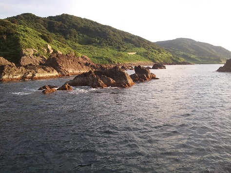 d0138246_2071842.jpg