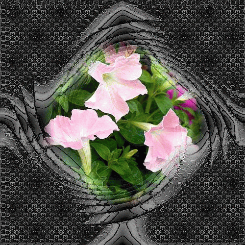 b0133752_0142170.gif