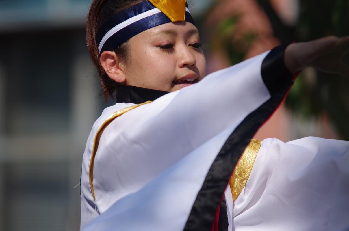 a0009554_1214739.jpg