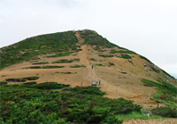 f0036354_16174554.jpg