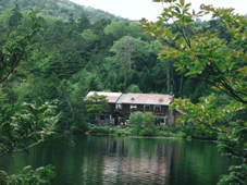 f0036354_1639228.jpg