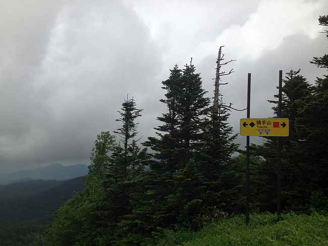 c0109957_139717.jpg