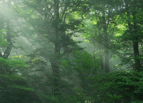 c0294658_550138.jpg