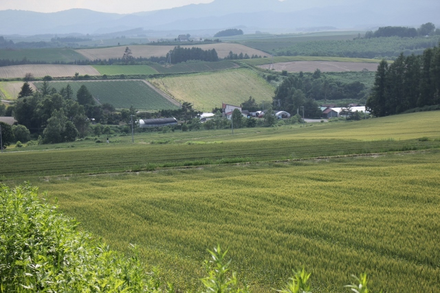 b0138661_004072.jpg