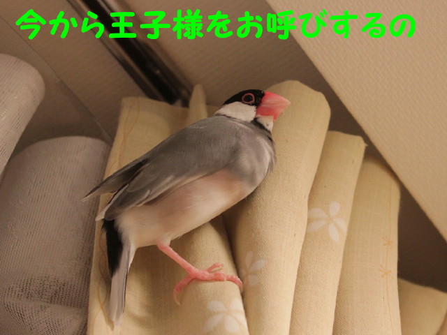 b0158061_21515947.jpg