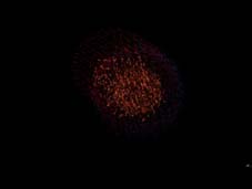 b0069562_8241635.jpg