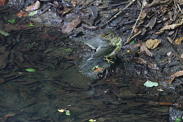 f0215964_11392356.jpg
