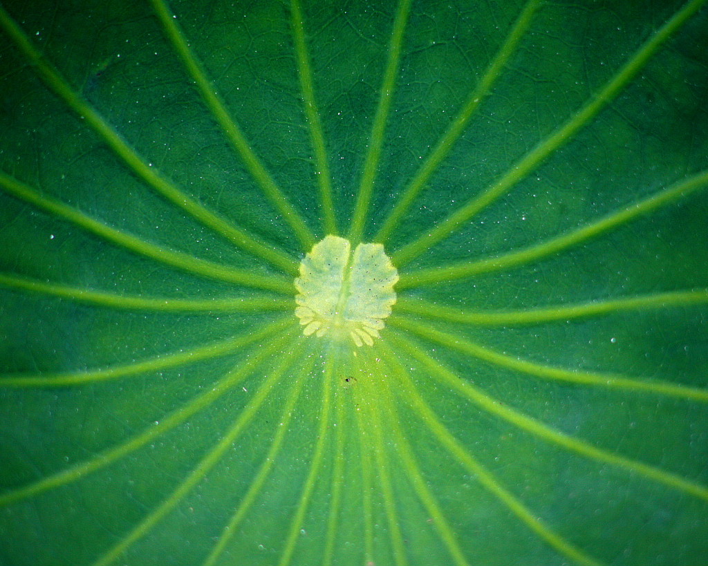 c0305565_20145630.jpg