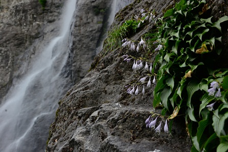 c0303868_7144482.jpg